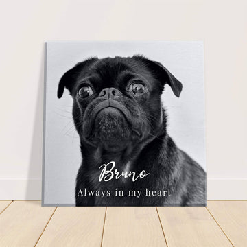 Personalised photo gifts for pet lovers