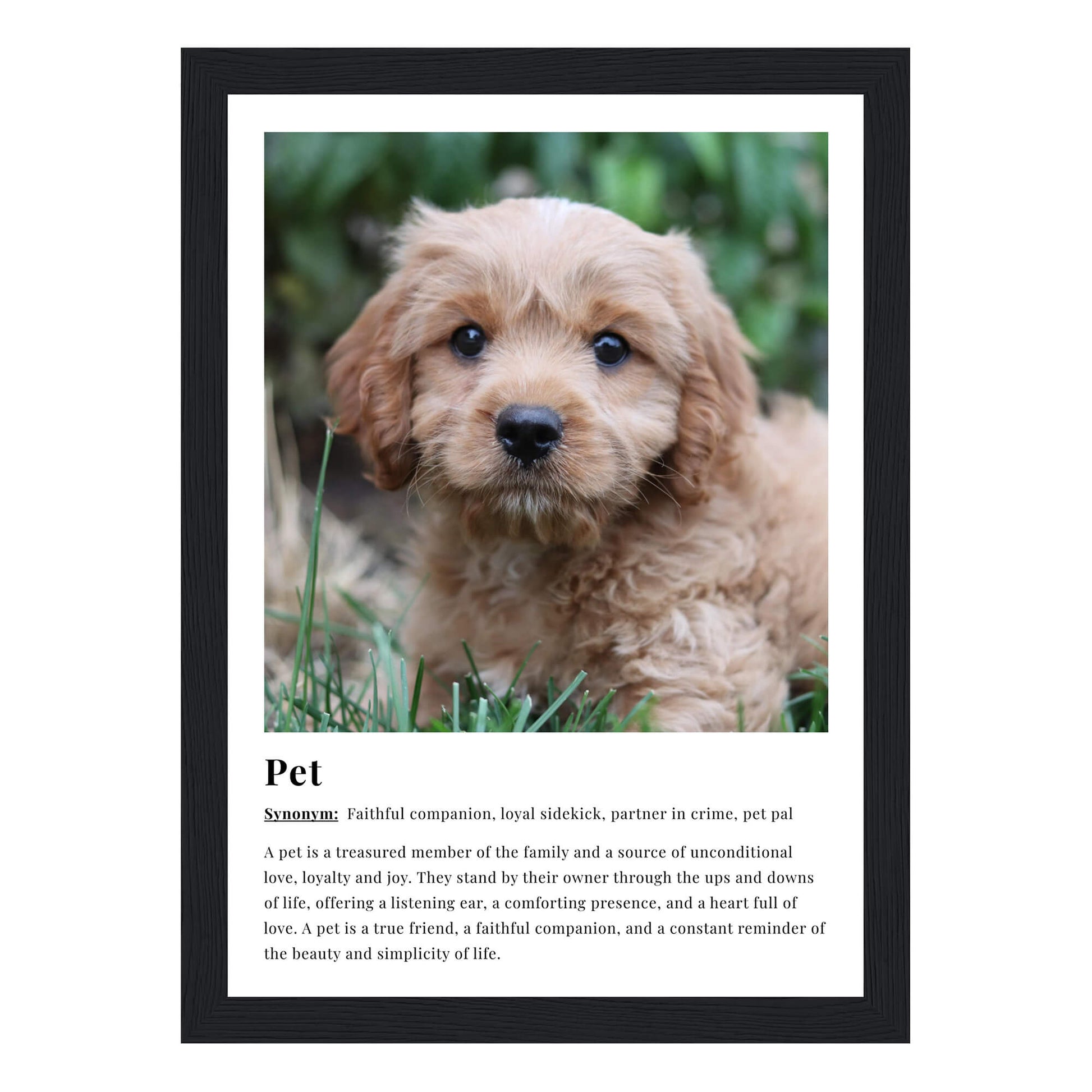 Pet dictionary definition personalised framed print