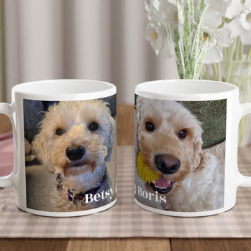 Pet lovers personalised mug