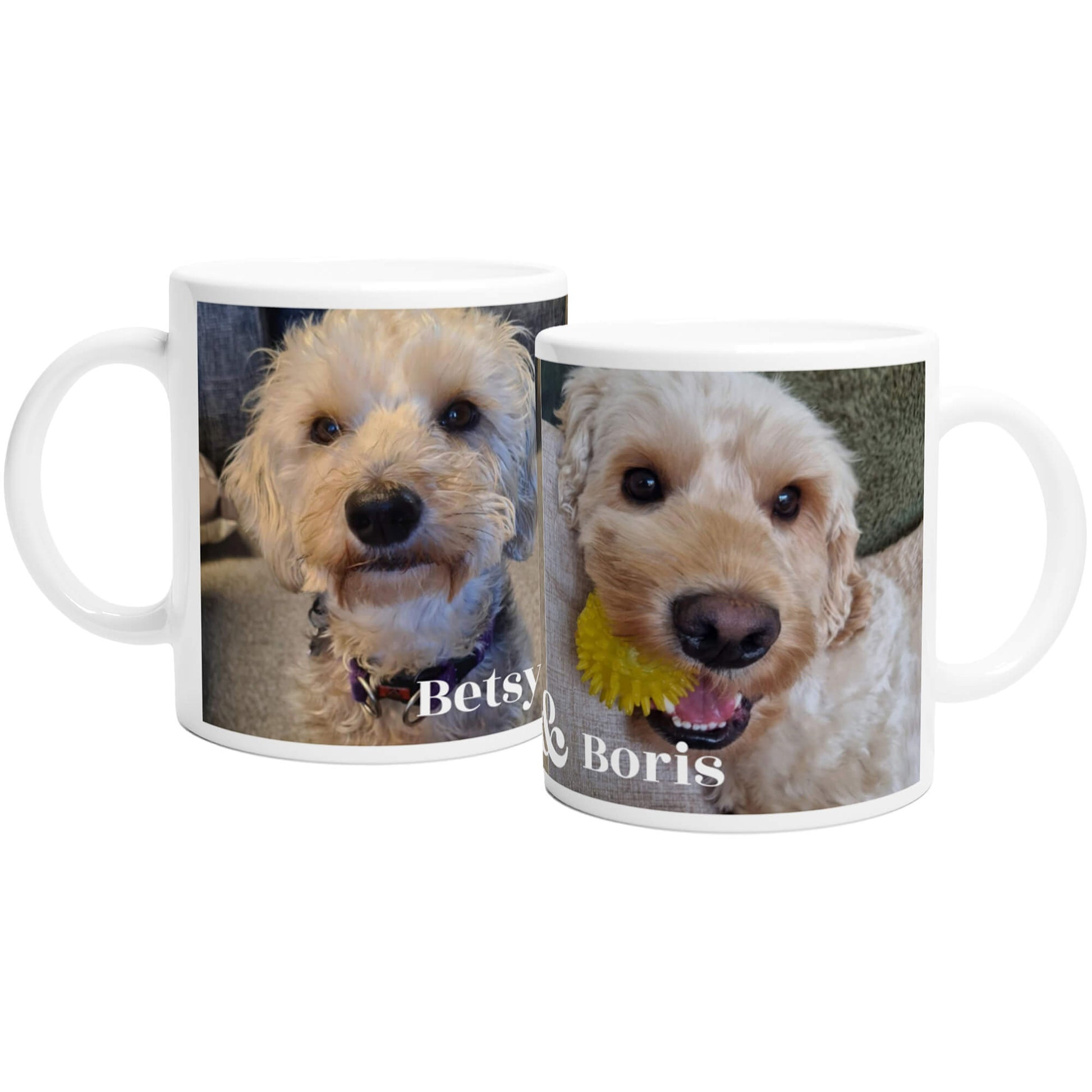 Pet lovers double photo personalised mug 