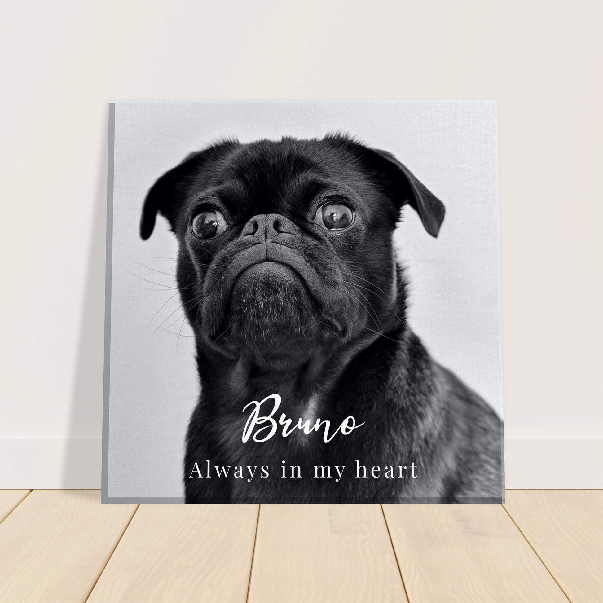 Pet memorial canvas against wall