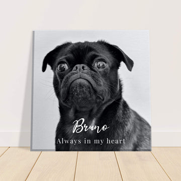 Pet memorial personalised canvas