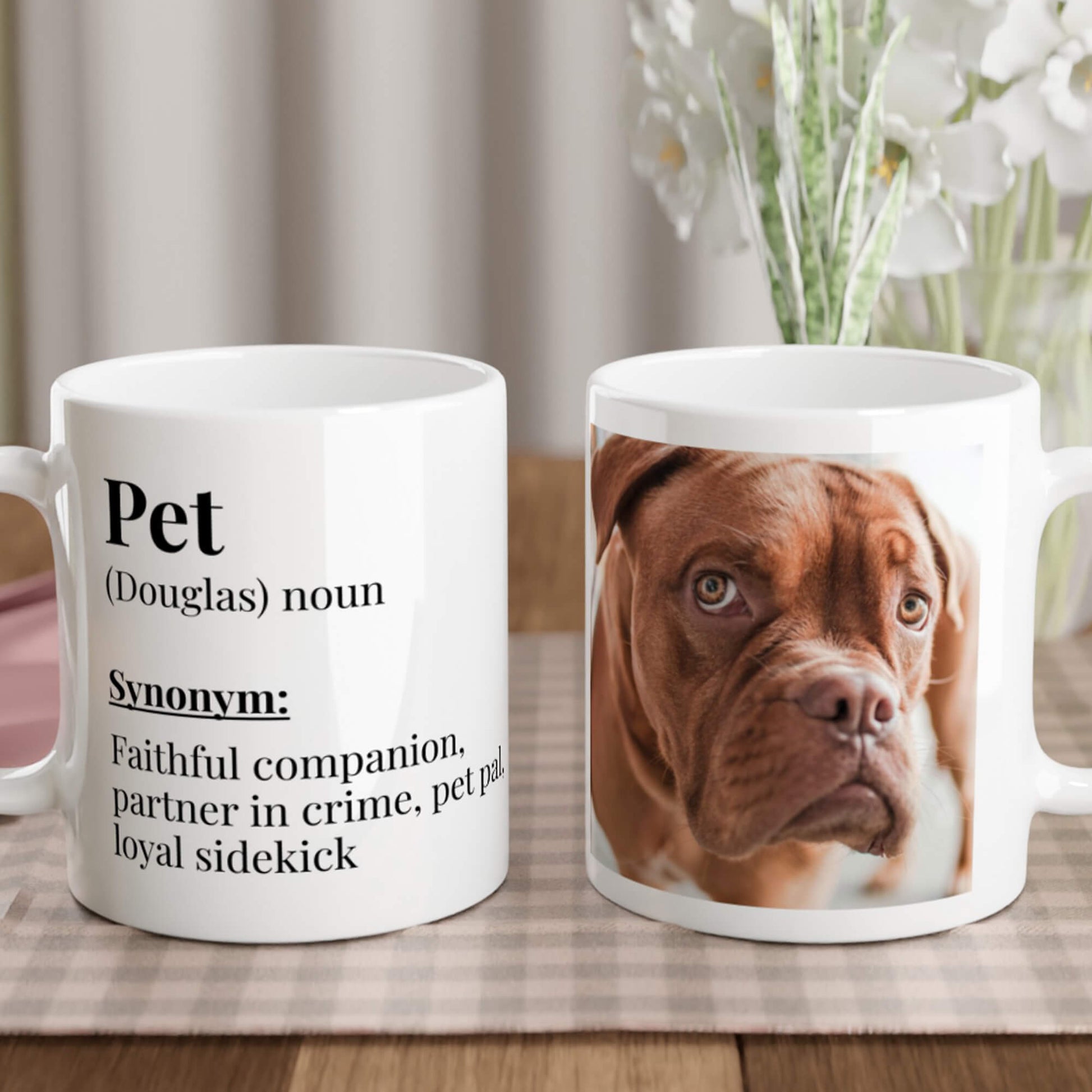 Pet dictionary definition mug - lifestyle image