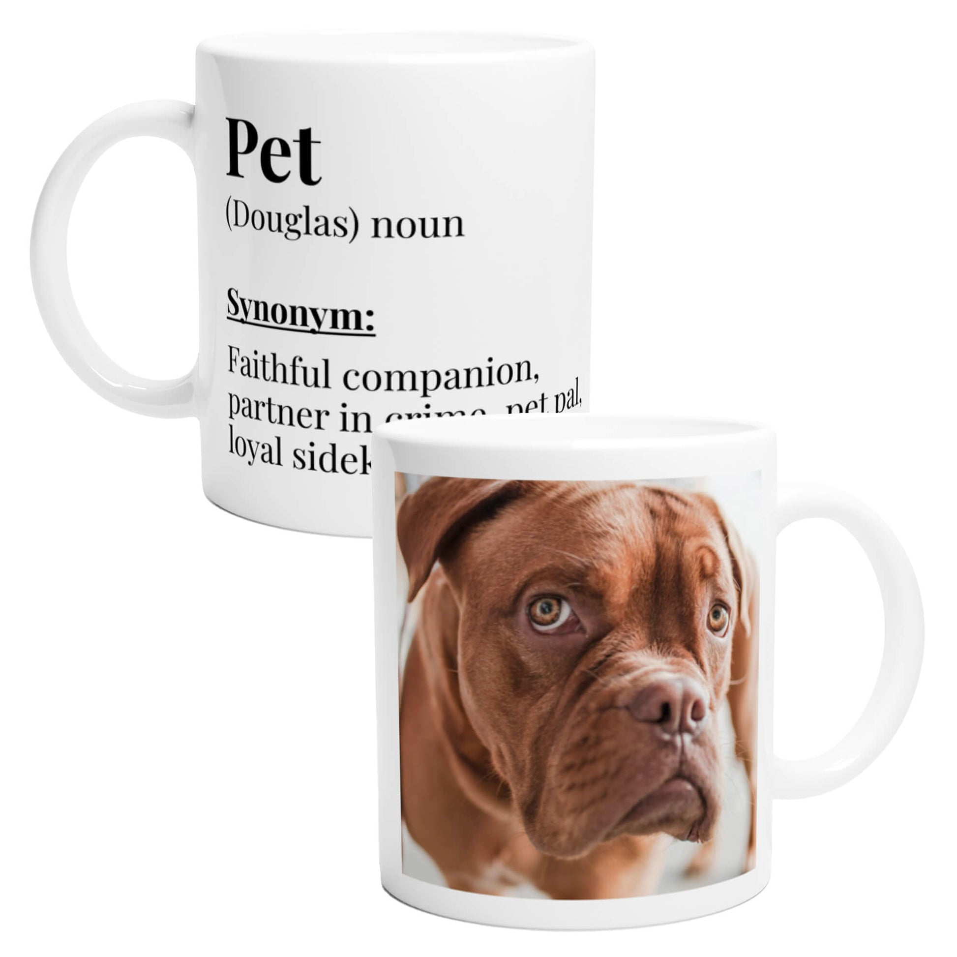 Pet dictionary definition personalised photo mug