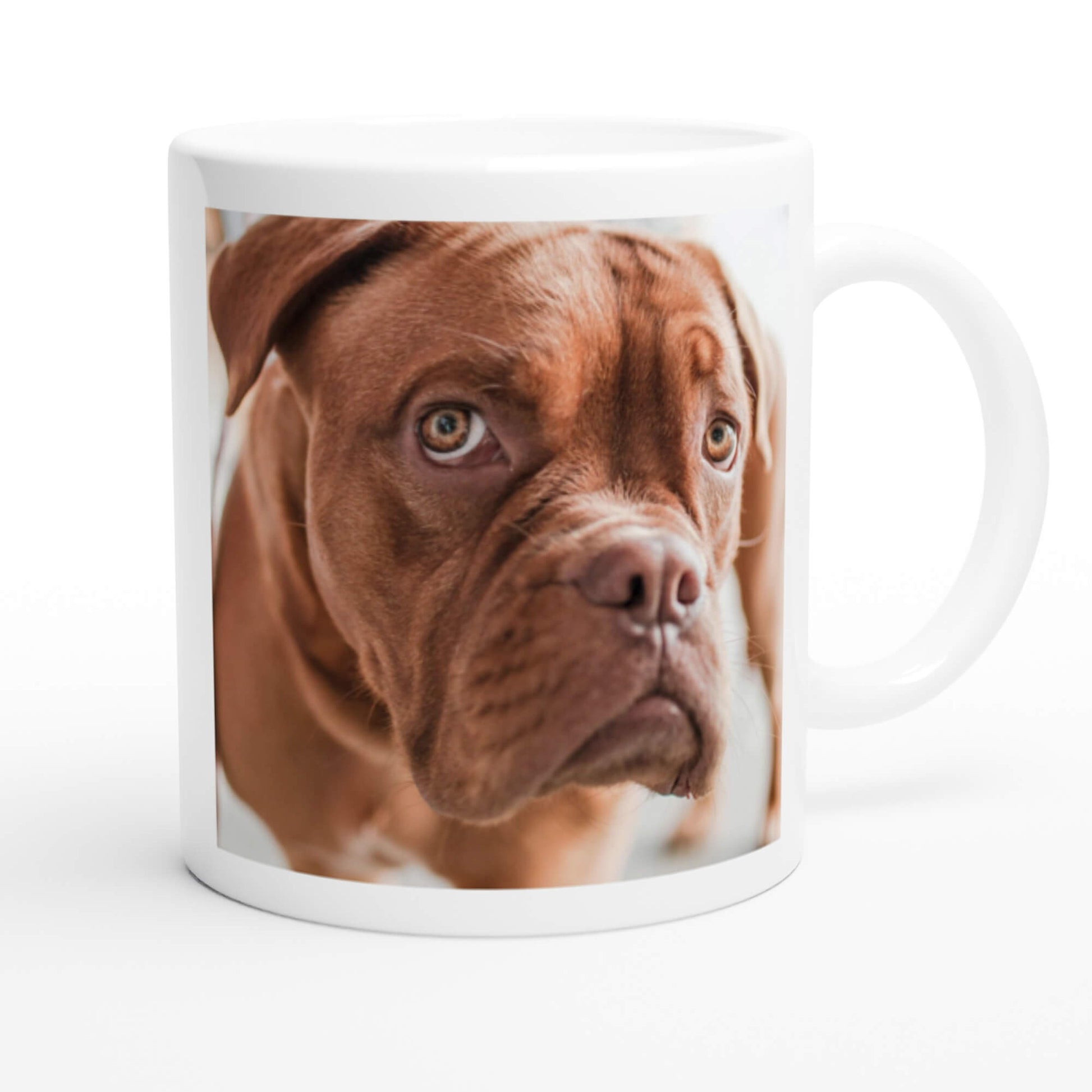 Pet dictionary definition mug - photo preview