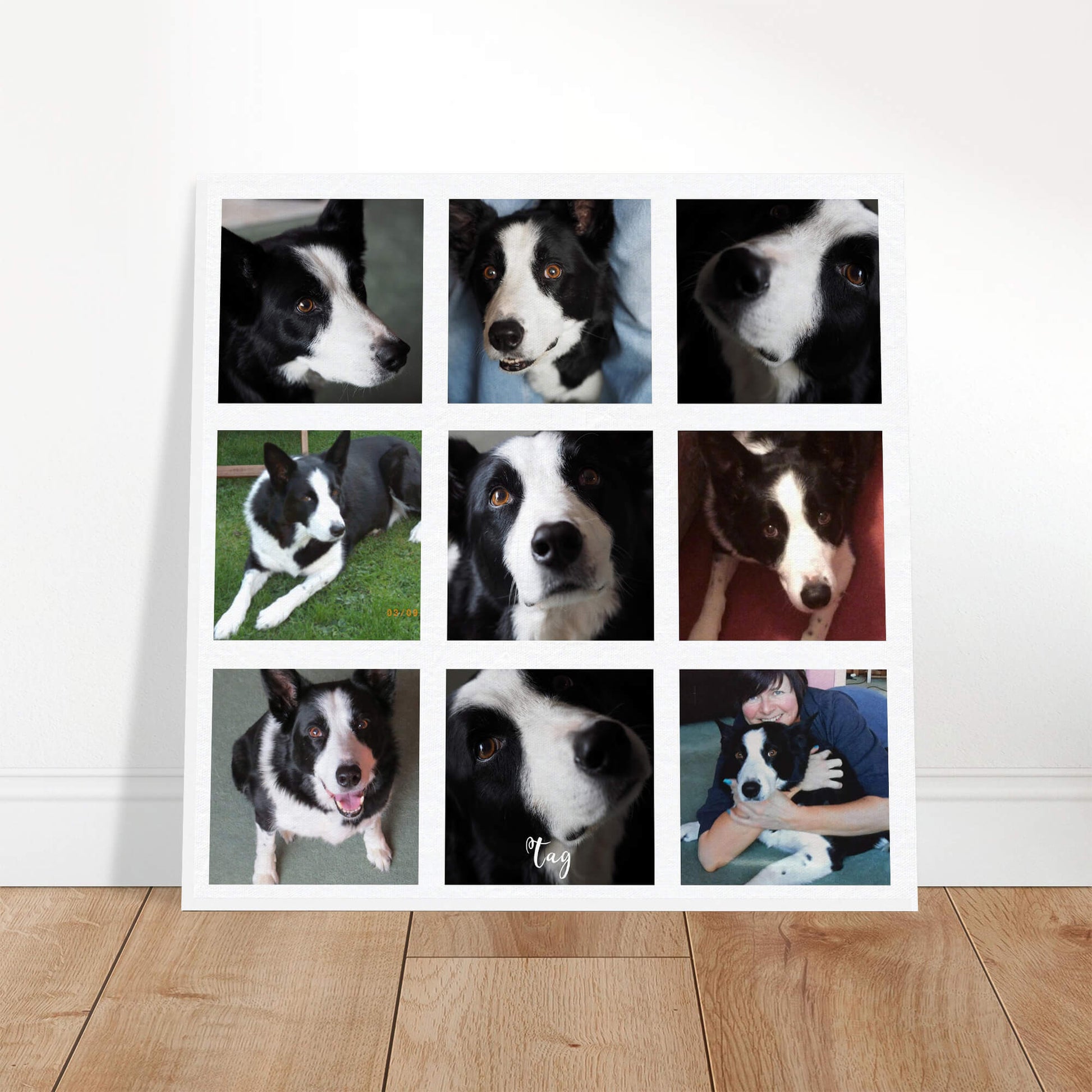 Pet photo collage canvas against wall