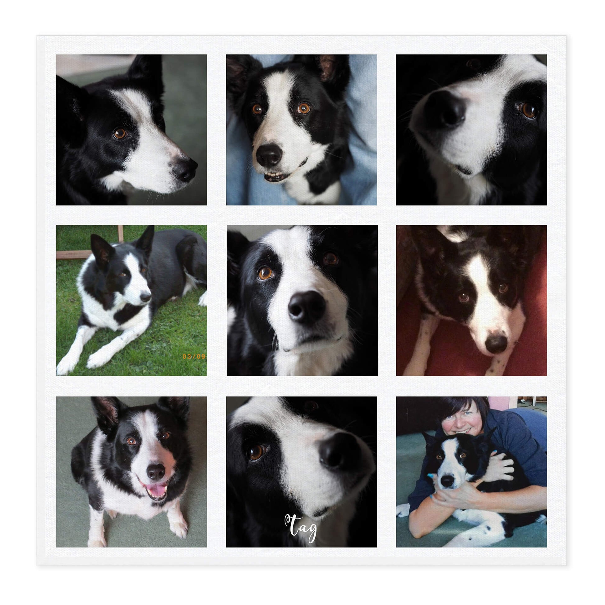 Pet photo collage personalised canvas