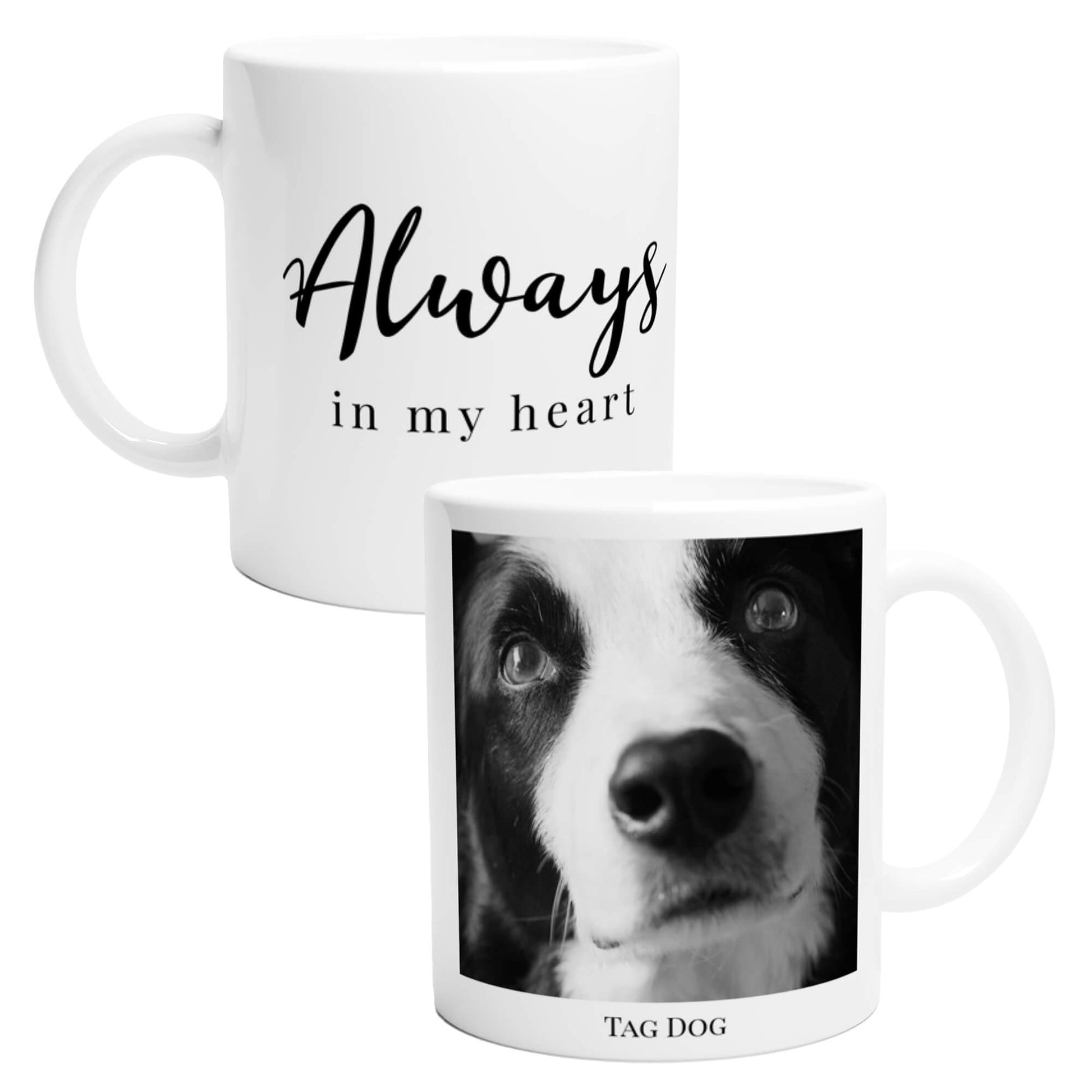 Pet memorial photo mug - always in my heart